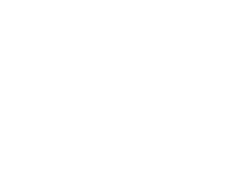 Icone Logo